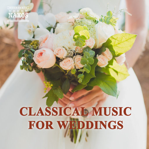 老婆的健身房练瑜伽
